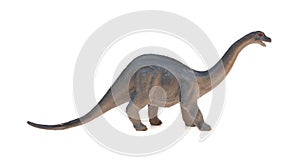 Side view Diplodocus toy on white background