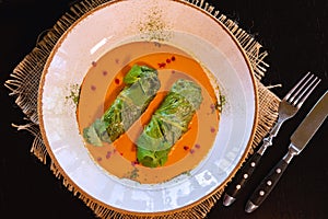 Side view on a dish of eastern european cuisine golubtsy stuffed cabbage leaves with meat or vegetable, with sour cream