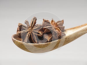 Side view of dried star anise on a spoon