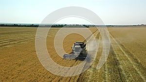 Side view from a drone of a combine harvester working in a wheat field. The harvester agricultural machine harvests a