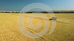 Side view from a drone of a combine harvester working in a wheat field. The harvester agricultural machine harvests a