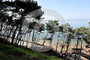 Side view of the Dune of Pilat in pyla the tallest sand dune in Europe