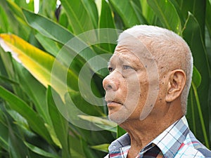 Side view of an elderly man looking up while standing in a garden