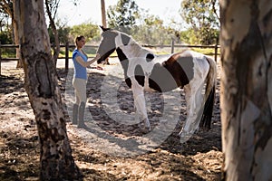 Side view of female jockey with horse