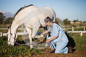 Side view of female vet examining horse foot