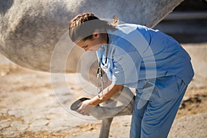 Side view of female vet examining horse hoof