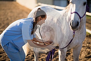 Side view of female veterinarian checking horse