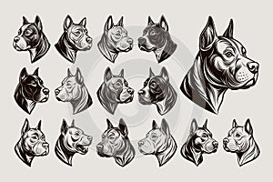 Side view of flat pitbull dog head illustration design set