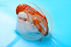 frozen shrimp in an unfreezing process