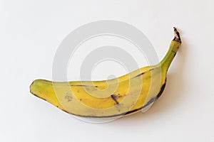 Side view of a fully ripe Burro banana, Orinoco, Bluggoe, Horse, Hog and Largo banana, isolated on white, horizontal aspect