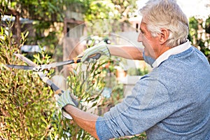 Side view of gardener using clippers at garden