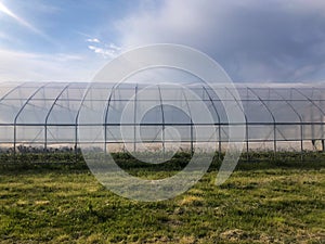 Side View of a Greenhouse on an Organic Farm