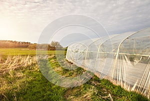 A side view of a greenhouse in an organic plantation at sunset