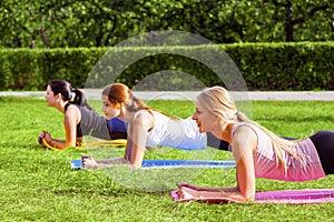 Side view group of satisfied beautiful healthy slimy young women doing exersices on the green grass in the park, standing in plank