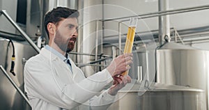 Side view of handsome male worker holding and looking at freshly made beverage in glass tube. Process engeneer in lab