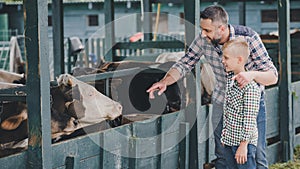 side view of happy father and son in checkered shirts looking at cows