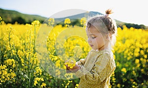 Side view of happy small toddler girl standing in nature in rapeseed field.