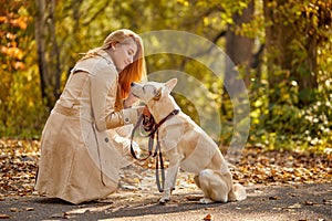 Side view on happy young woman walking in the autumn forest with dog companion