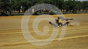 Side view of the harvester red and blue tractor, producing cleaning yellow rapeseed at farmers ` fields. The raw