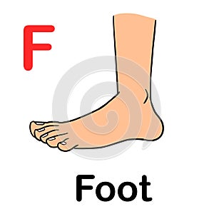 Side view human foot with spelling word