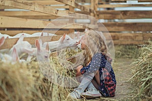 side view of kid going to kiss goat