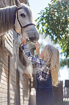 side view of kid reaching hands to white horse