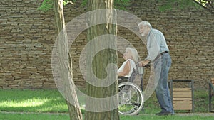 Side view of laughing senior couple in sunny summer park talking and gesturing. Wide shot of old Caucasian man riding