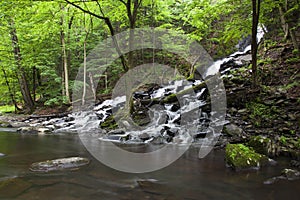 Side View Of Lower Falls