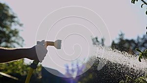 Side view of male hand watering beautiful tree in garden on sunset. Person holds hose spraying water on green plant