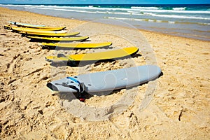 Side view of many surf boards on the sea beach