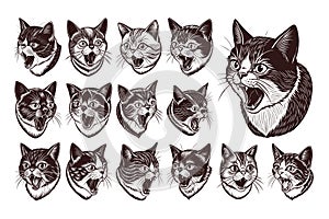 Side view meowing exotic shorthair cat head illustration design set