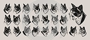 Side view of meowing snowshoe cat head tshirt design collection
