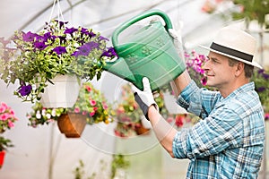 Side view of middle-aged man watering flower plants in greenhouse