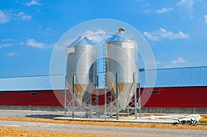 Side view of a modern poultry house