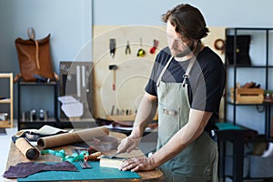 Craftsman Sharpening Tools photo