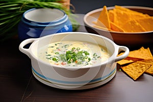 side view of queso dip in a ceramic dish with chives