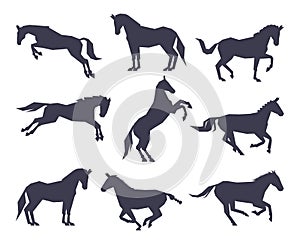 Side View of Racing Horse Silhouettes Set, Equestrian Sport, Derby Vector Illustration