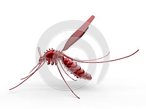 Side view of a red mosquito