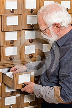 side view of senior male archivist searching