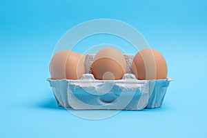 Side view of six pack of chicken eggs in carton.
