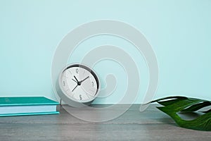 Side view of a still life. Gray wooden table and turquoise wall. Monstera leaf