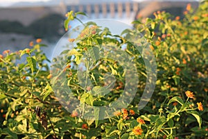 Side view of Tarbela Dam Kpk Pakistan