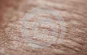 Side view of the texture of human pink, irritated skin covered with wrinkles, hairs and blisters from burns and allergies