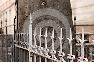 Side view to old wrought iron fence