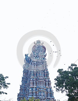 Side view of the top of Meenakshi Temple  Madurai  India. Birds and trees are there in vertical image