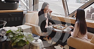 Side view of two adult business women sitting and talking in a bar. Having breakfast in a cafe, two multi-cultural