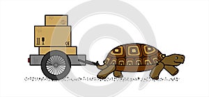 Side View Of A Vector Cute Land Turtle Carrying A Cart With Boxes. Cardboard Boxes With Marking. Slow Delivery. Isolated On A