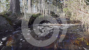 Side view video of melted snow water in forest creek runs through Scandinavian forest. Vey Sunny spring day. Long exposure for