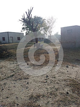 A side view of village Chakwal