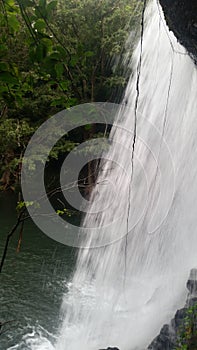 Side view of waterfall and rain forest